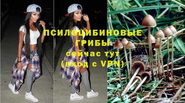 не бодяженный Дмитровск