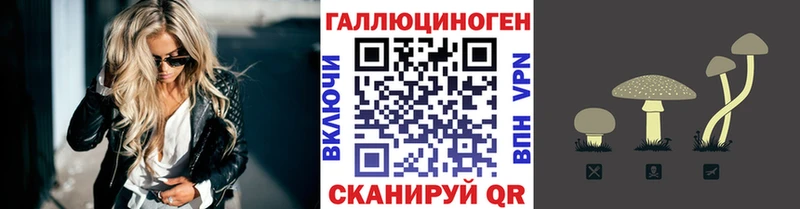 даркнет сайт  Новая Ладога  Псилоцибиновые грибы Psilocybine cubensis 