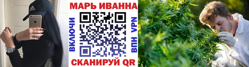 Конопля семена  магазин    Новая Ладога 